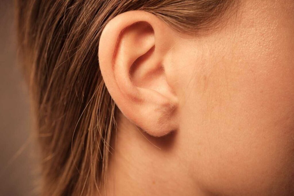 تجميل الاذن الخفاشية وأهم اسباب تشوهات الأذن وماهي خطوات إجراء العملية |  حياة | HAEAT