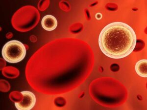 ارتفاع عدد خلايا الدم