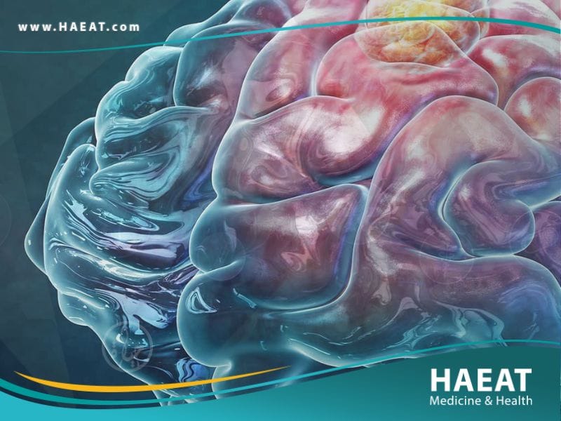 سرطان الدماغ