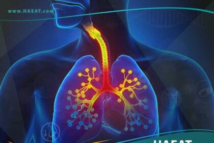 التهاب القصبات