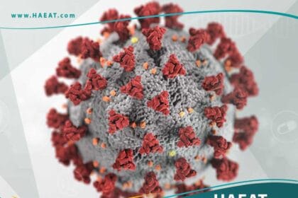 ما هو فيروس كورونا