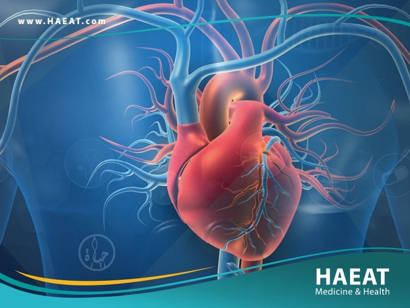 جراحة الأوعية الدموية