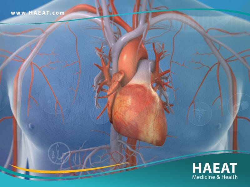 علاجات القلب
