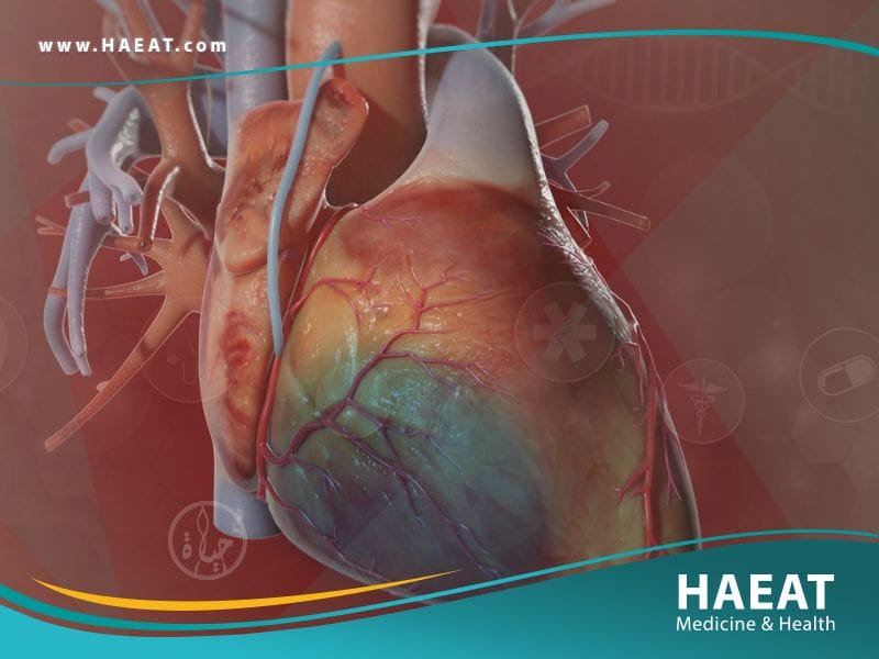 جراحة المجازة التاجية