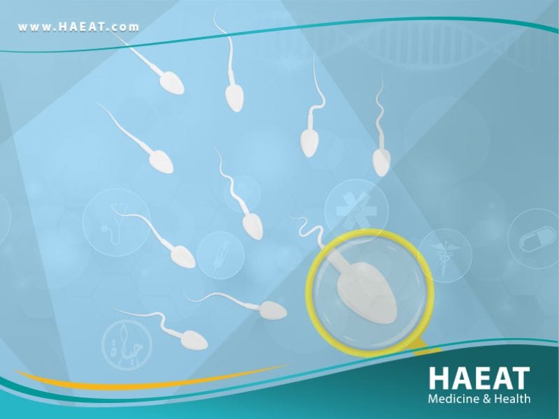 العقم عند الذكور