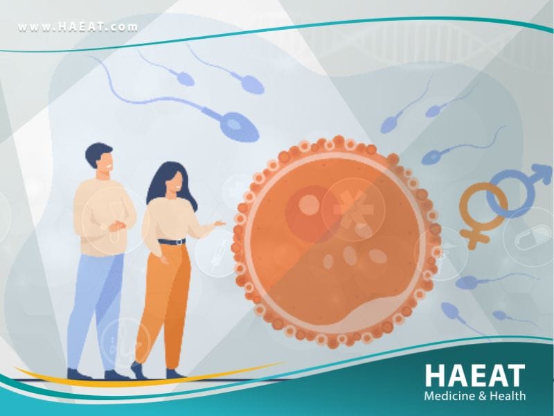 العقم عند الذكور