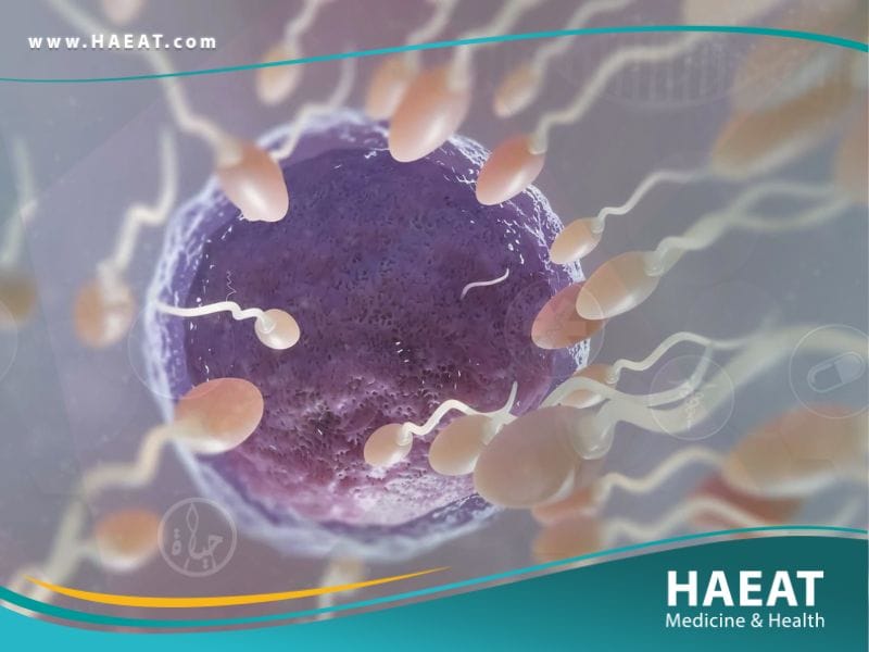 العقم عند الذكور