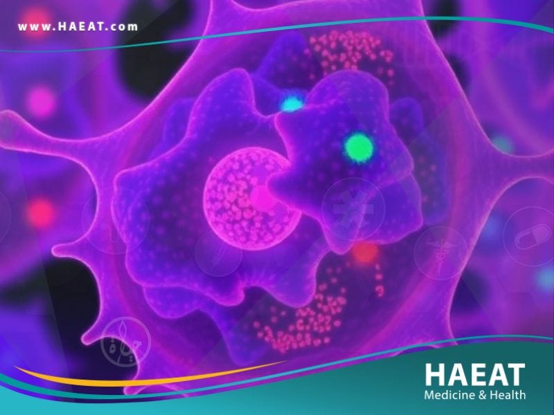 سرطان البنكرياس