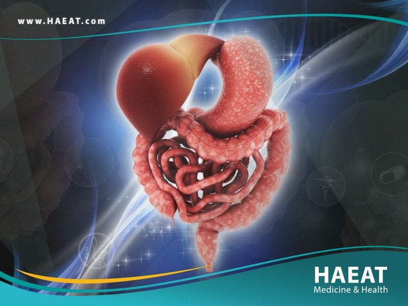 علاجات الجهاز الهضمي