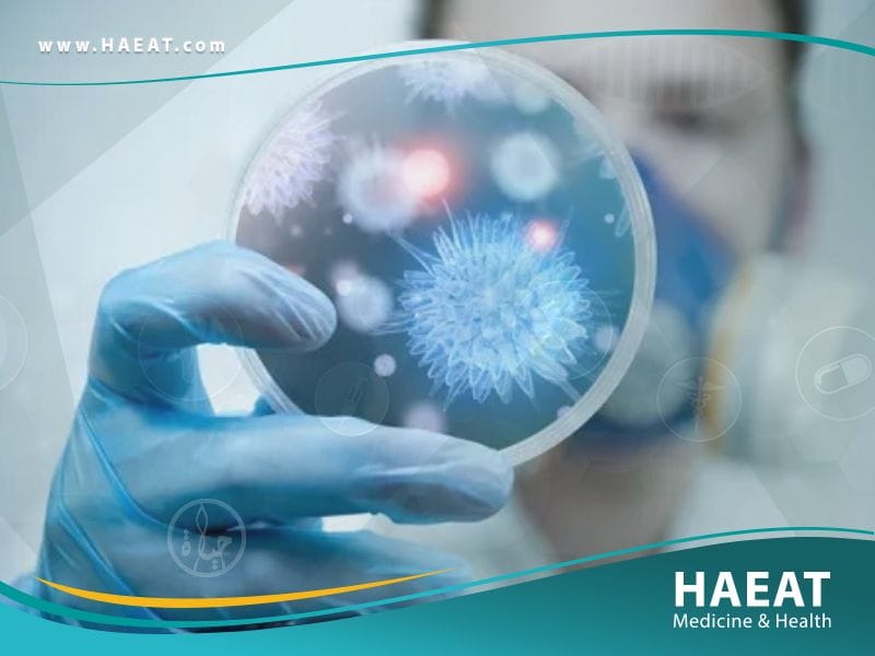 ما هو فيروس كورونا