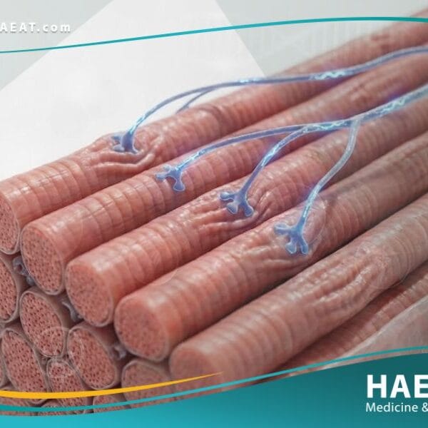 ارتجاف حزمي