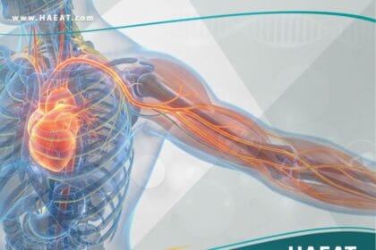 الألم الرجيع