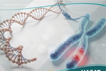 الأمراض المرتبطة بكرموزوم إكس