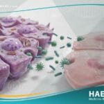 الأمراض حيوانية المصدر