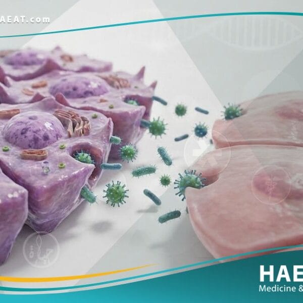 الأمراض حيوانية المصدر