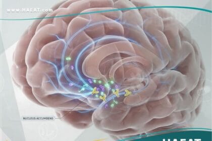 الإدمان على الأفيون