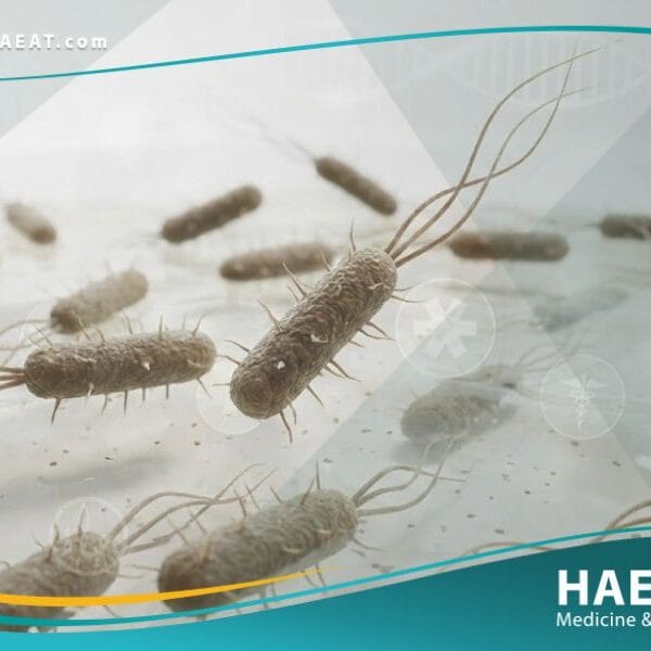 الإشريكية القولونية