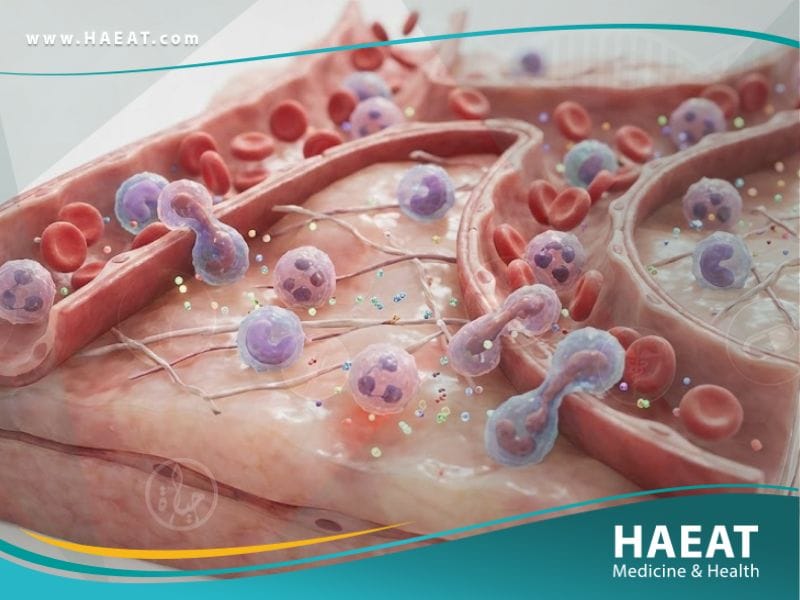 الإلتهاب | 7 حقائق عن الأعراض، الأسباب، والعلاج 19 الإلتهاب