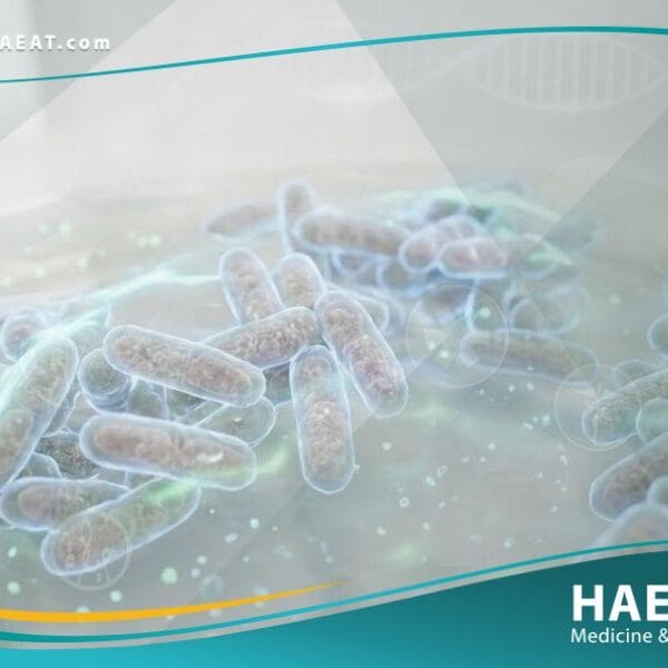 البرفوتيلا