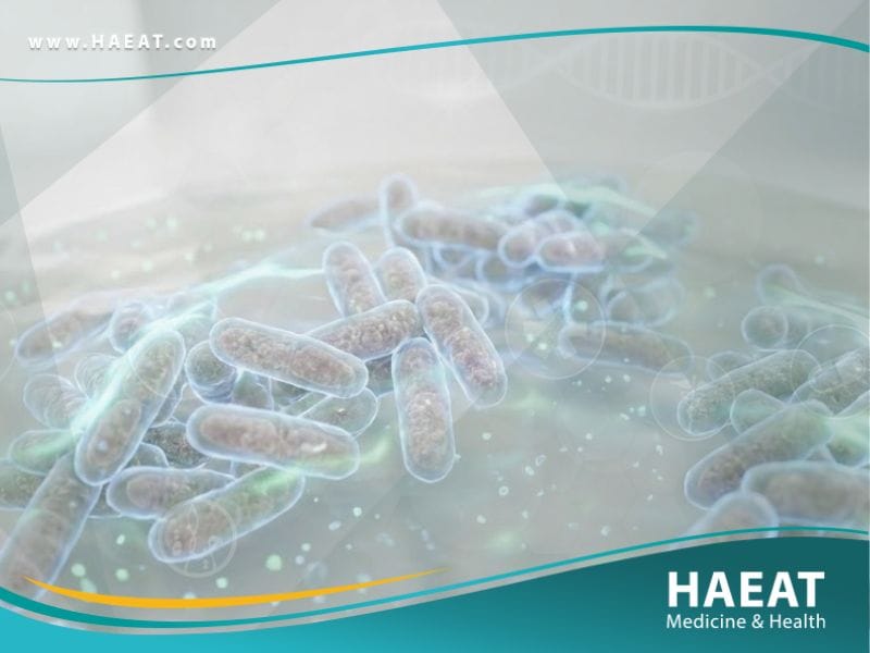 البرفوتيلا