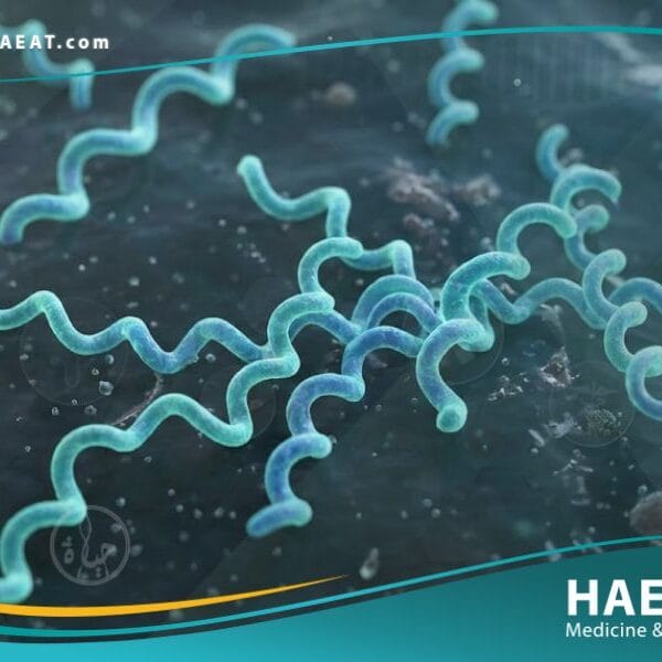 البوريليا بورغدورفيري