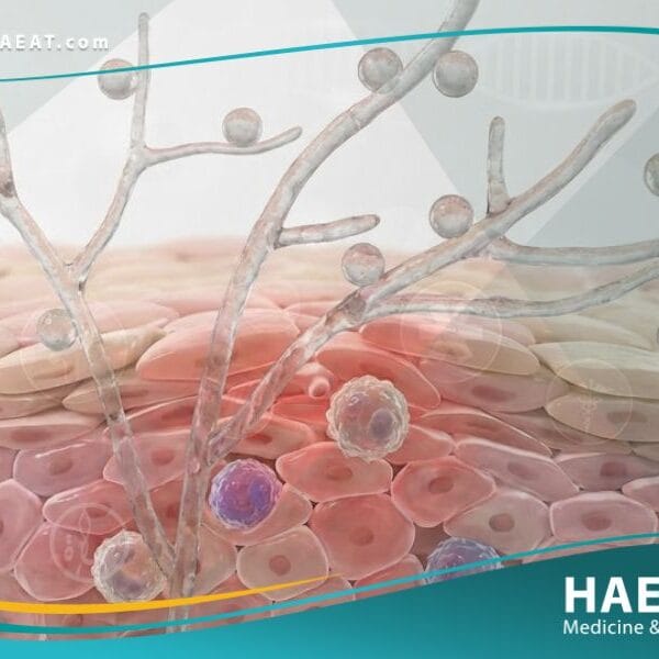 التلوثات الفطرية