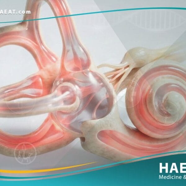 التهاب الأذن الداخلية