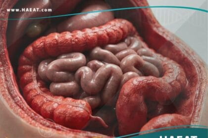 التهاب البريتون