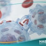 الحمى المالطية