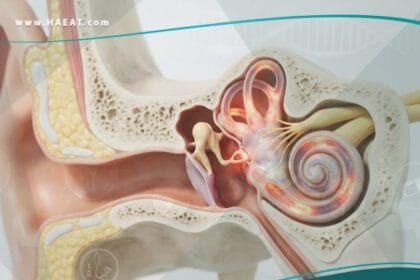 أمراض الأذن الباطنة
