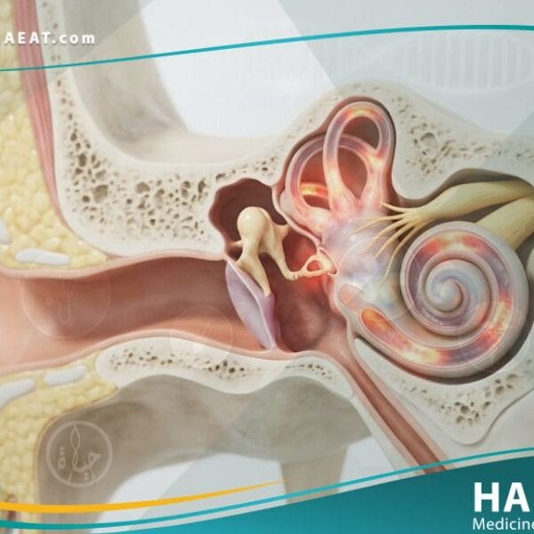 أمراض الأذن الباطنة