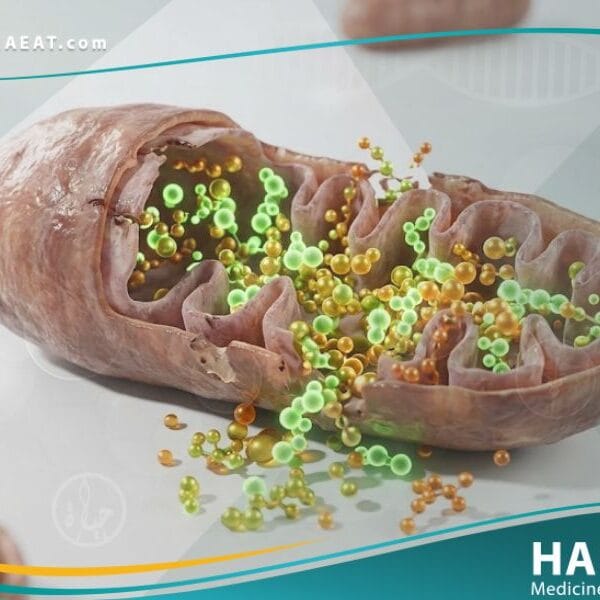 أمراض الاحماض العضوية