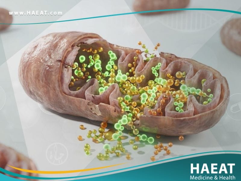 أمراض الاحماض العضوية