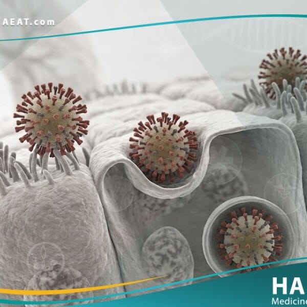 _أنفلونزا الخنازير