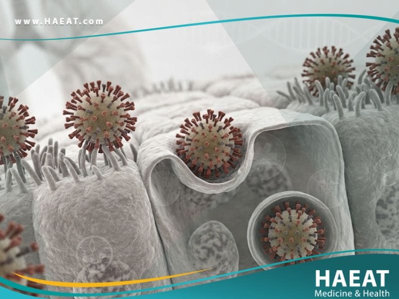 _أنفلونزا الخنازير