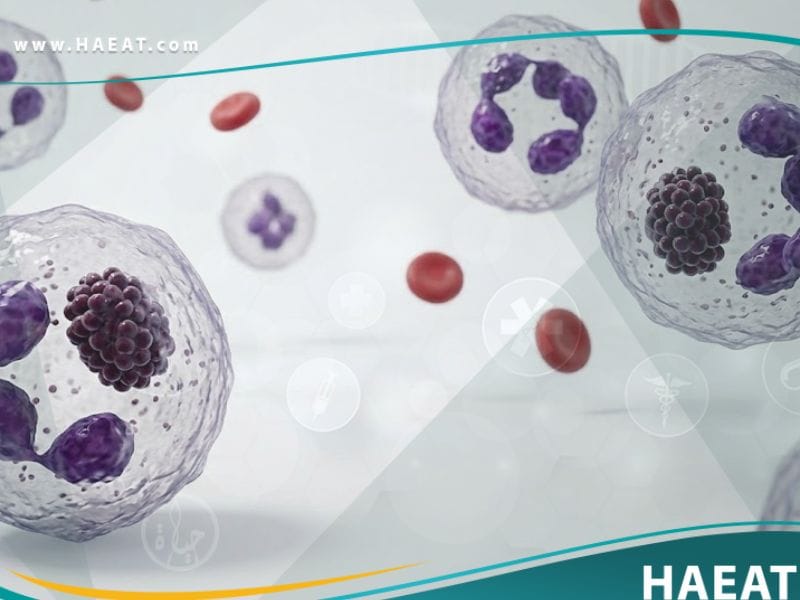 _أهريلخيوزس