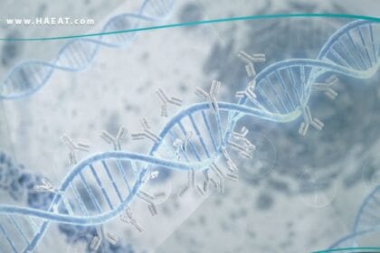 اضداد DNA