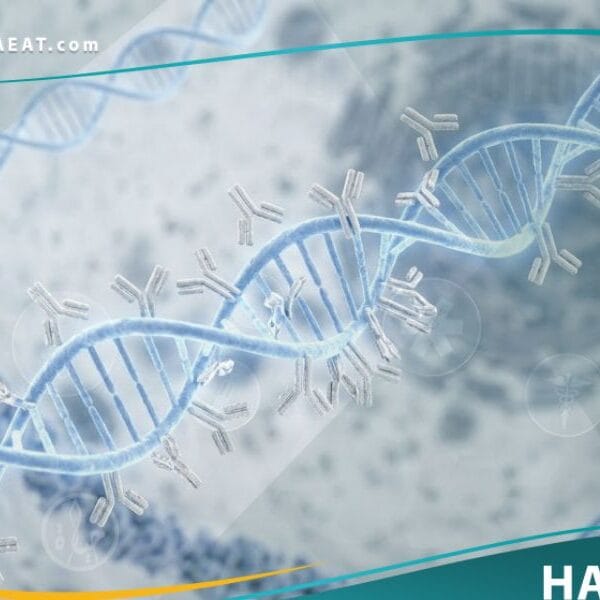 اضداد DNA