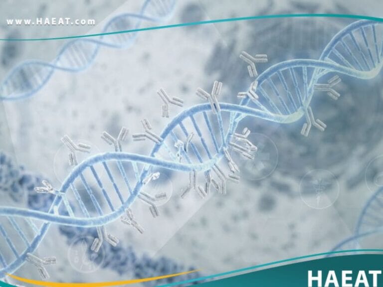 اضداد DNA