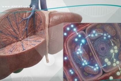 _اضطرابات دورة اليوريا