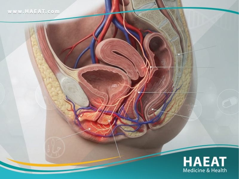 الألم المزمن في الفرج