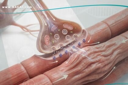 الارتجاف الحزمي