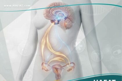 الاضطراب الجنسي لدى النساء