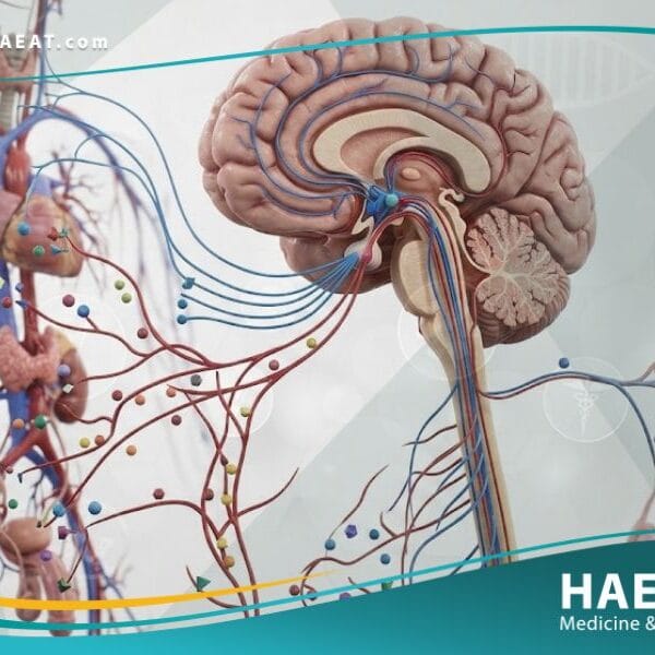 الاضطرابات الجنسية (1)