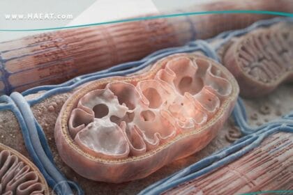 _الاعتلال العضلي المتقدري