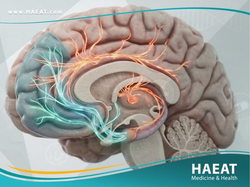 _الانحراف الجنسي