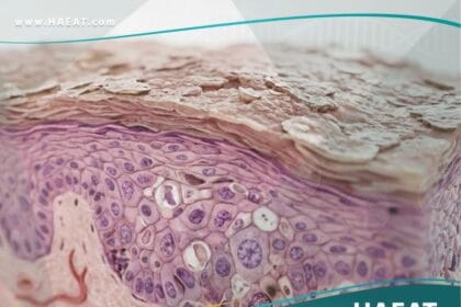 التقران الشمسي