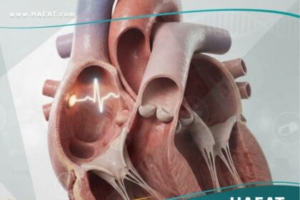 التقلص الأذيني المبتسر