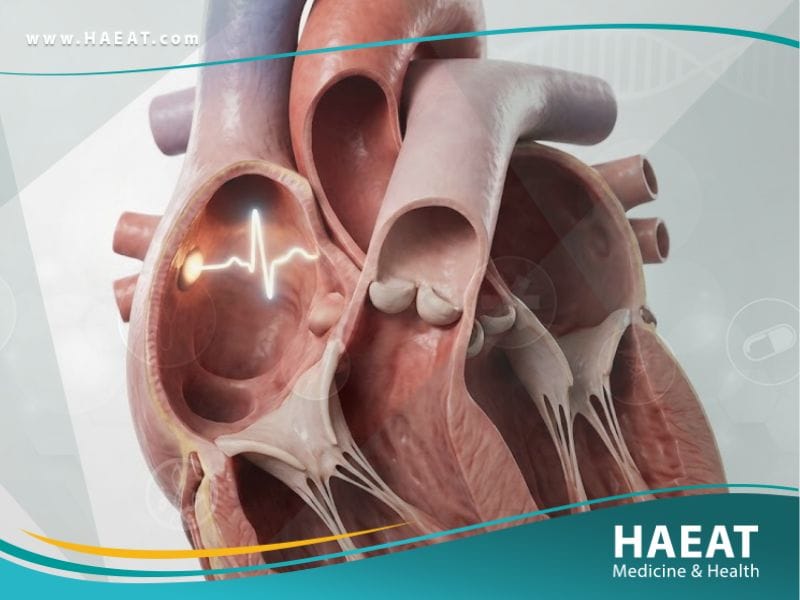 التقلص الأذيني المبتسر