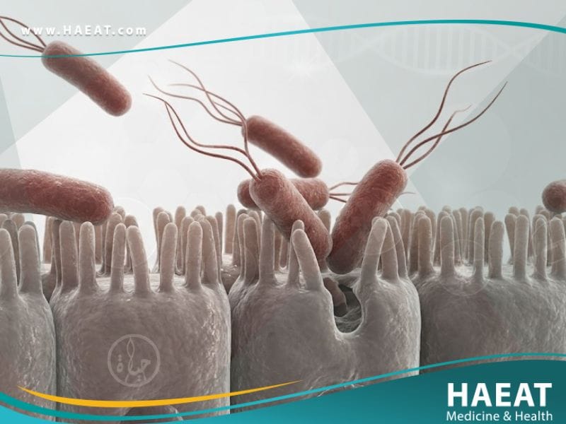 الجرثومة الغازية